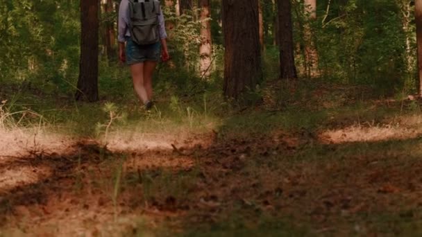 Vista da dietro entusiasta ragazza che indossa lo zaino a piedi nella foresta estiva incredibile — Video Stock