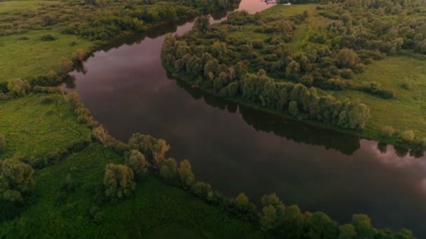 Niesamowite Seascape Powierzchni Spokojny Staw Otoczony Przez Piękne Zielone Drzewa — Wideo stockowe