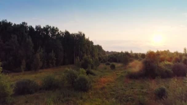 Повітряний постріл дивовижний ліс на заході сонця піднімається над красивим сільським ландшафтом — стокове відео