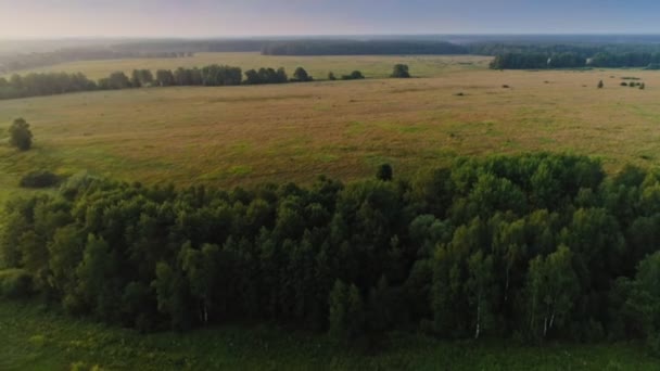 Vue aérienne survolant une magnifique prairie et une forêt infinies paysage de campagne incroyable 