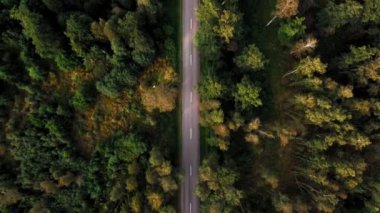 Yavaş yavaş güzel sonbahar orman Hava çekim ortasında yeni asfalt iki şeritli yol üzerinde uçmak