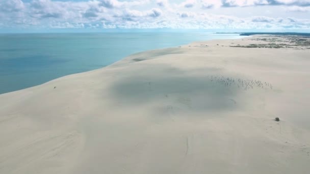 Aerial shot. Paradise Seascape. Magnificent empty beach with white sand. Beautiful blue sea or ocean — Stock Video