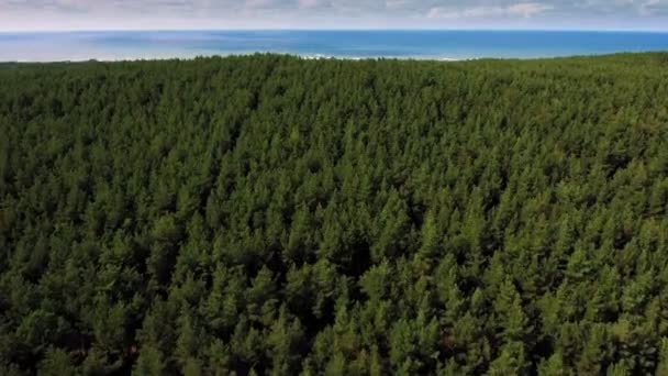 Un disparo aéreo. Vuelo rápido sobre un denso bosque verde, en el fondo un mar azul con agua clara — Vídeos de Stock