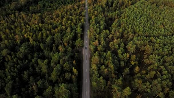 密集した森の真ん中に点線のマーキングを持つ新しい2車線道路の上からの壮大な眺め — ストック動画