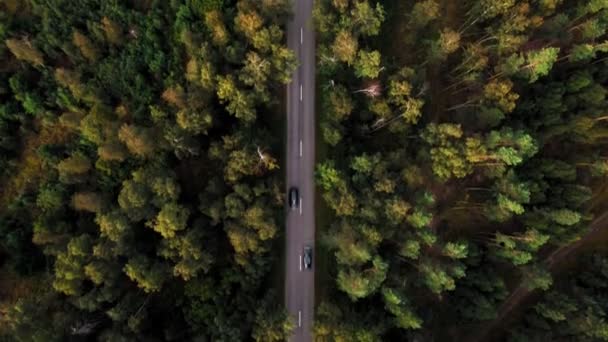 헬리콥터에서 촬영. 숲 의 중간에 점선 표시와 두 차선 아스팔트 도로의 멋진 전망 — 비디오