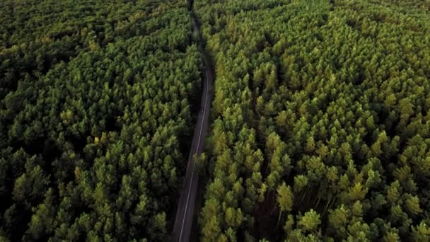 Un disparo aéreo. Vuelo lento sobre la carretera de asfalto de automóviles con vehículos en movimiento en medio del bosque . — Vídeos de Stock