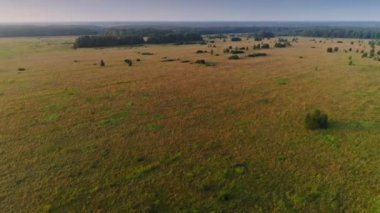 Ters hava inanılmaz sarı sonsuz alan görünümü güzel vadi peyzaj yukarıda vurdu
