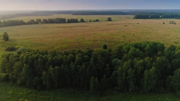 Vue aérienne survolant une magnifique prairie et une forêt infinies paysage de campagne incroyable 