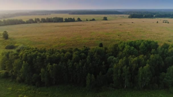 Plano aéreo volando sobre el hermoso prado sin fin y bosque paisaje increíble campo — Vídeos de Stock