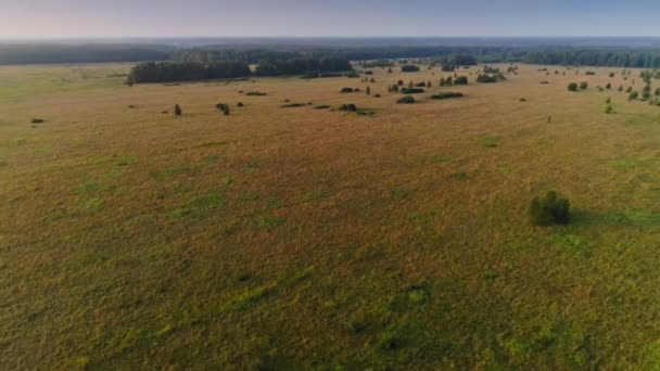 Vue aérienne inversée vue imprenable sur le champ jaune sans fin depuis un magnifique paysage de vallée 