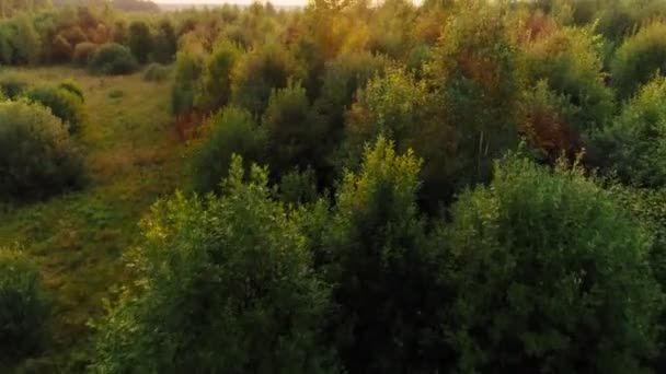 Levantamiento de tiro aéreo hermoso paisaje natural verde y bosque amarillo rodeado de luz solar — Vídeos de Stock