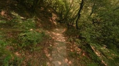 Pov yaz orman çalılıklarında engebeli arazide yolda yavaşça yürüyen birini vurdu