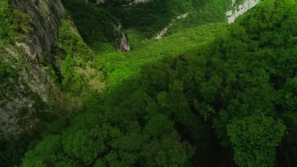 Tiro aéreo inverso voando sobre incríveis árvores verdes densas ao pôr do sol vista de cima parque florestal — Vídeo de Stock