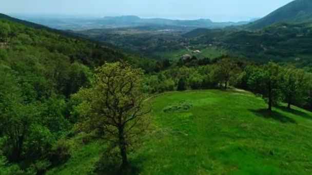 Colpo aereo volando in avanti sopra stupefacente parco naturale valle con verde denso terreno collinare foresta — Video Stock