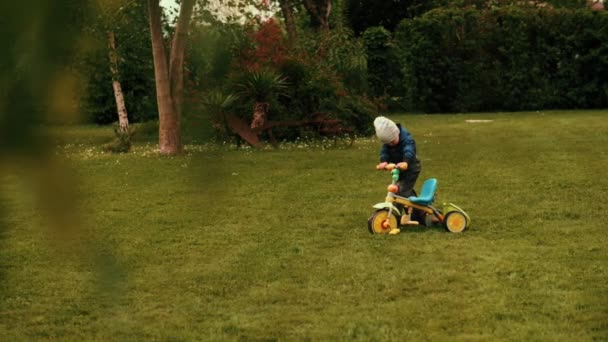 Menino bonito brincando com pequeno triciclo na grama verde no parque florestal de verão — Vídeo de Stock