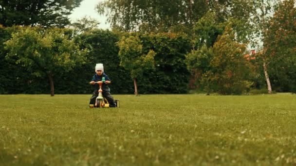 Маленький милый ребенок играет с велосипедом на свежем зеленом лугу луг счастливый ребенок гуляя в лесном парке — стоковое видео