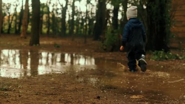 Feliz alegre lindo niño divertirse al aire libre corriendo en charco en otoño bosque cámara lenta — Vídeos de Stock