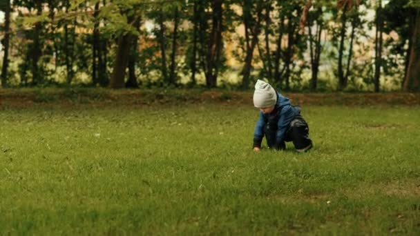 Szczęśliwy beztroskiej mało ładny chłopak gra dotykając zielone trawa chodzenie w Forest Park — Wideo stockowe