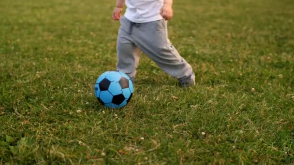 Těsné nohy šťastného malého chlapce, který hraje fotbal na zelené trávě v parku nakloněná nahoru — Stock video