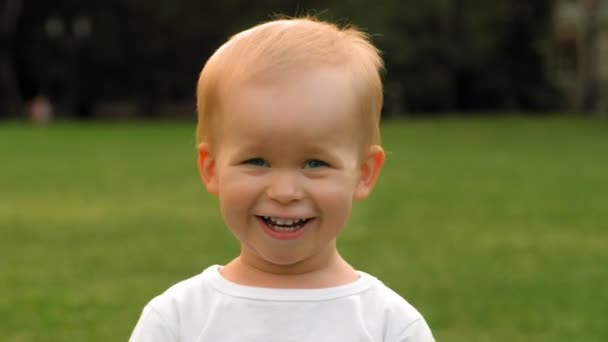 Крупный план смешного улыбающегося маленького мальчика, веселящегося на свежем воздухе в парке зеленой травы — стоковое видео