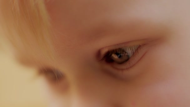 귀여운 금발의 유럽 소년의 극도로 가까운 눈을 확신적으로 뭔가를찾고 있는 — 비디오