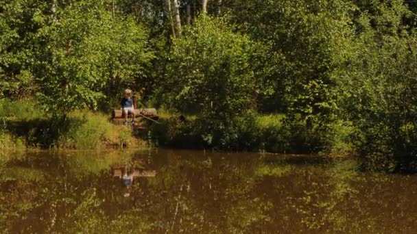 Entusiastiska liten pojke sitter på stock med fiskespö vid sjön i solig sommardag — Stockvideo