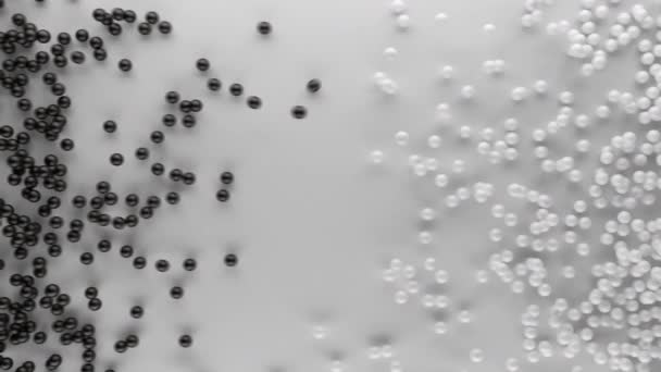 3D γραφικά κινούμενα σχέδια του σωρού μαύρο και άσπρο μικρές μπάλες αποδεικνύουν σύγκρουση ή σύγκρουση — Αρχείο Βίντεο