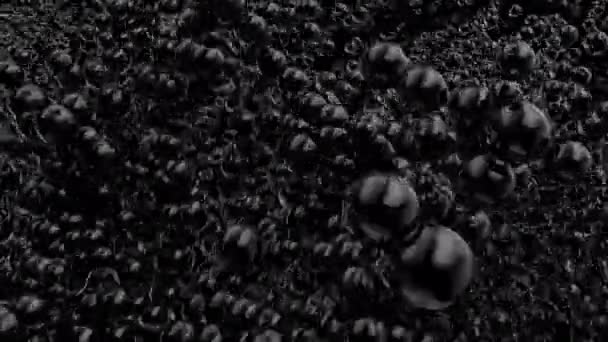 Hastighetsflöde av snabbt rörliga skummande exploderade luftade bollar isolerad på svart bakgrund — Stockvideo