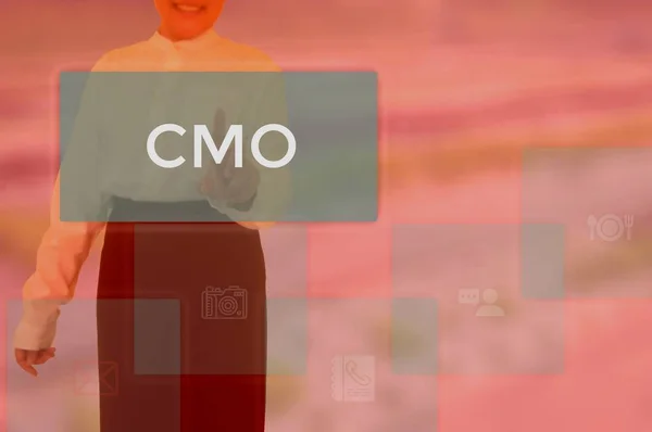 Chief Marketing Officer(CMO )