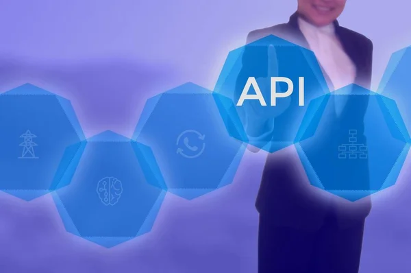 application program interface (API)