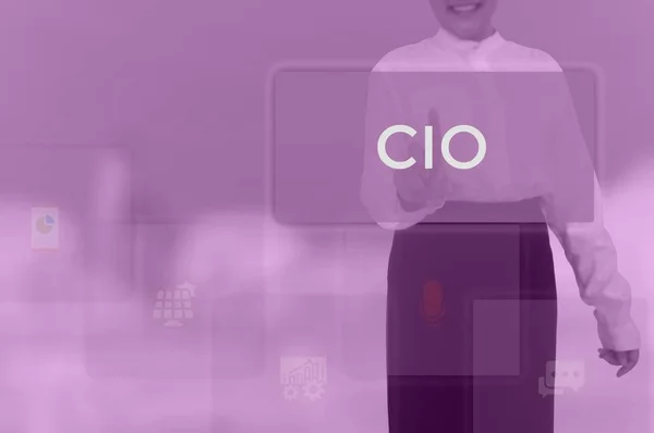 chief information officer (CIO) concept