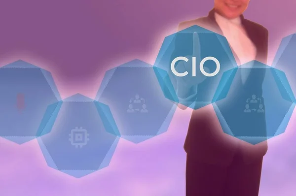 chief information officer (CIO) concept