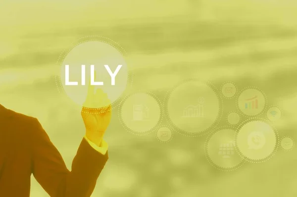LILY - technology and business concept