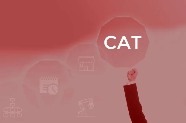 CAT - technology and business concept