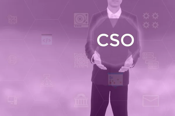 chief strategy officer,chief security officer,chief sourcing officer - business concept