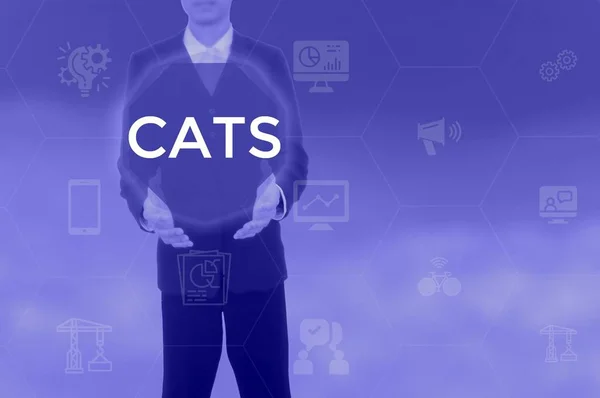 CATS - technology and business concept