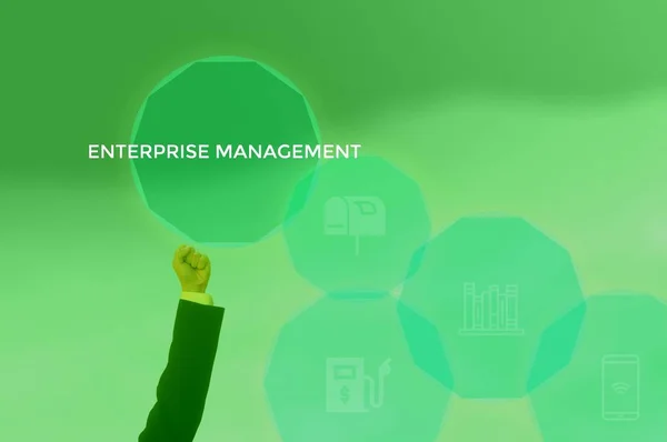 Enterprise Management - business and technology  concept