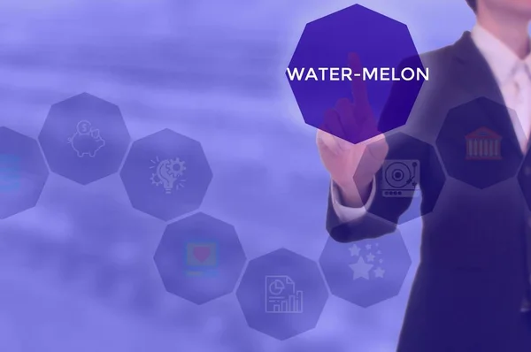 WATER-MELON - technology and business concept