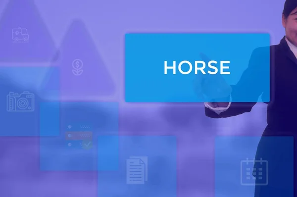 HORSE - business concept presented by businessman