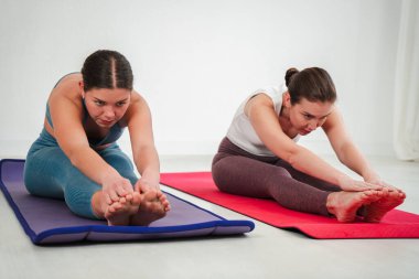 Yogayı yoğun bir konsantrasyonla uygulayan kadınlar, esnekliği, gevşemeyi ve genel sağlık durumunu iyileştirmek için esneme egzersizleri yapan, kendini spora adamış ve spor yapmaya kendini adamış kadınlar.
