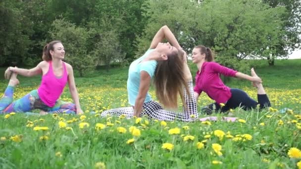 Slim and young women sit in twine position and stretch legs — Stock Footage Slim and young women sit in twine position and stretch legs Royalty Free Stock Video