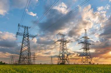 Elektrik hatları ve yüksek gerilim hatları yaz günü yağlı tohumlarla yapılan tecavüzün arka planına karşı. Yeşil enerji. Tarımsal alanlar yoluyla elektrik aktarımı.