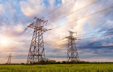 Elektrik hatları ve yüksek gerilim hatları yaz günü yağlı tohumlarla yapılan tecavüzün arka planına karşı. Yeşil enerji. Tarımsal alanlar yoluyla elektrik aktarımı.