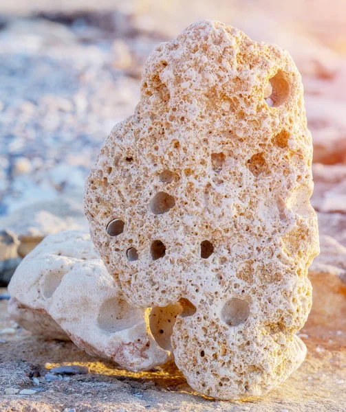 Guijarro Playa Con Agujeros — Foto de Stock