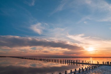 Yakın plan tuzlu ve pembe göl tuzu, mikro alg Dunaliella salina tarafından renklendirilmiş, antioksidan özellikleriyle ünlü, beta-karoten ile suyu zenginleştiren, ilaç, cilt bakımı ve kaplıcalarda kullanılan