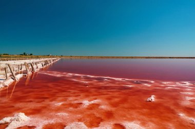 Pembe tuzlu bir gölün yüzeyi yazın sıcağında kurudu.
