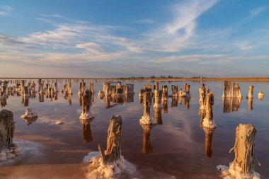 Pembe tuz gölünde gün batımı, pembe tuz çıkarmak için eski bir maden. Tuzla kaplanmış tahta çiviler.