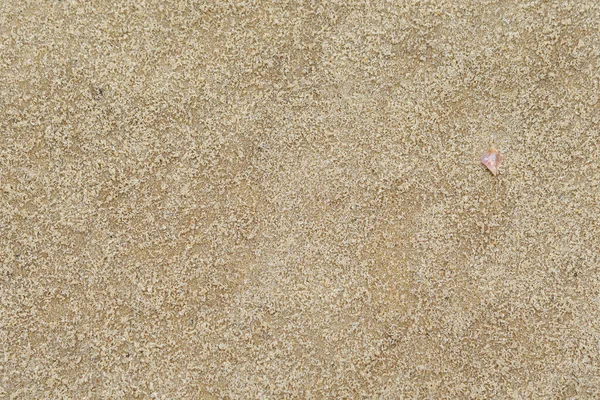 Vista Superior Praia Areia Fundo Com Espaço Cópia Textura Areia — Fotografia de Stock