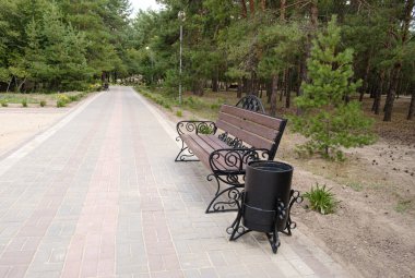 Terk edilmiş bir parkta güzel bir ahşap bank. Çam Parkı.