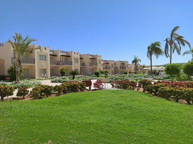 Deniz kıyısındaki otel bölgesi. Parlak öğle güneşinin altında bakımlı çimenler ve palmiye ağaçları.